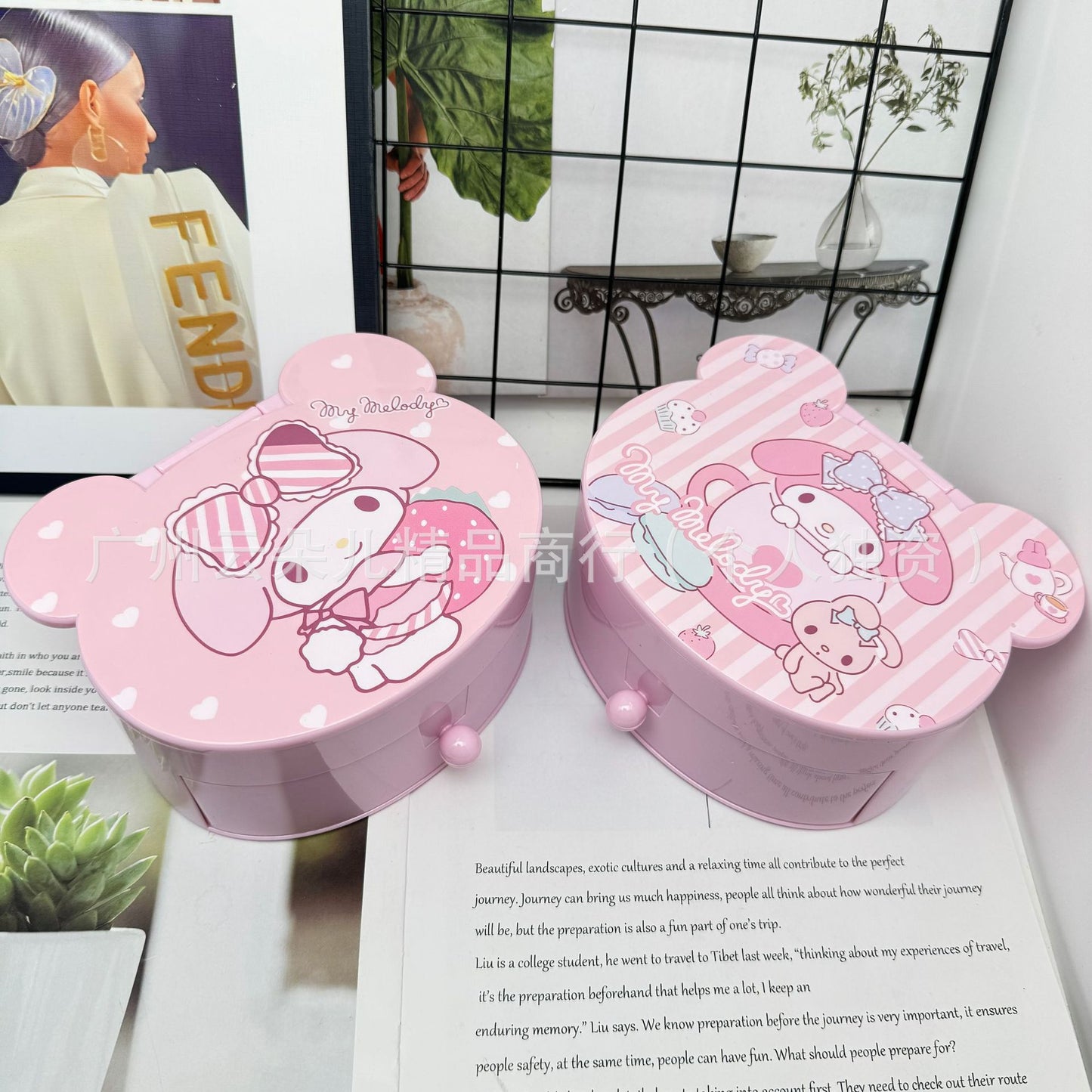 SaNR.IO Cute Kawaii Jewelry Box with Mirror